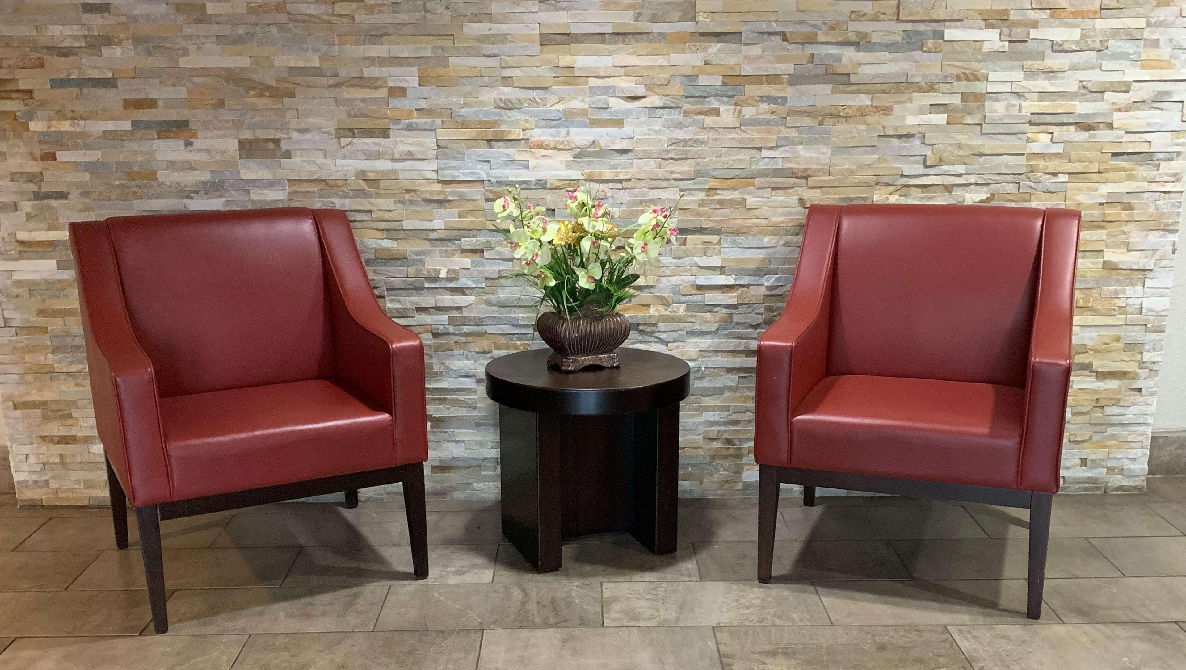 Quality Inn & Suites I-10 Near Fiesta Texas Σαν Αντόνιο Εξωτερικό φωτογραφία